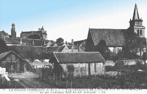 Carte postale Le Grand-Pressigny vue générale